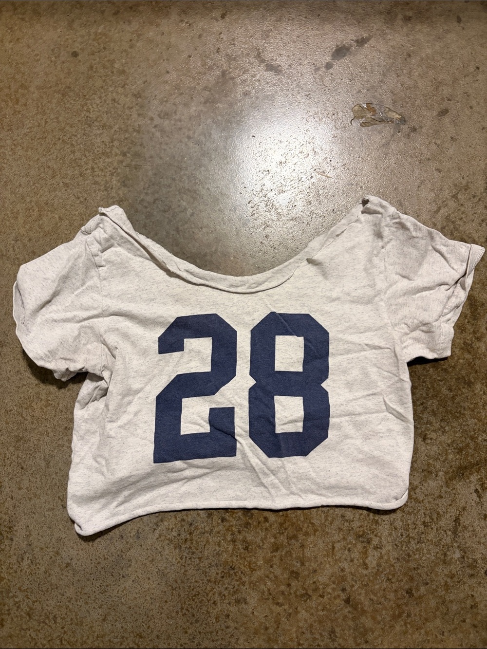 Brandy Melville Light Gray Cropped Tee